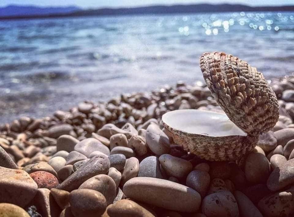 Apartmaji Soncek Izola Eksteriør bilde